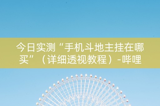 今日实测“手机斗地主挂在哪买”（详细透视教程）-哔哩哔哩