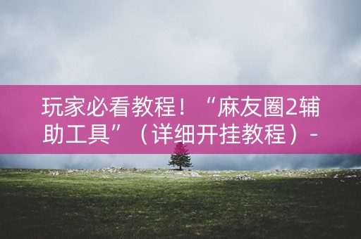 玩家必看教程！“麻友圈2辅助工具”（详细开挂教程）-哔哩哔哩