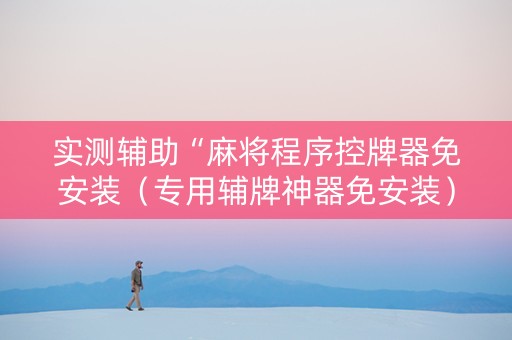 实测辅助“麻将程序控牌器免安装（专用辅牌神器免安装）