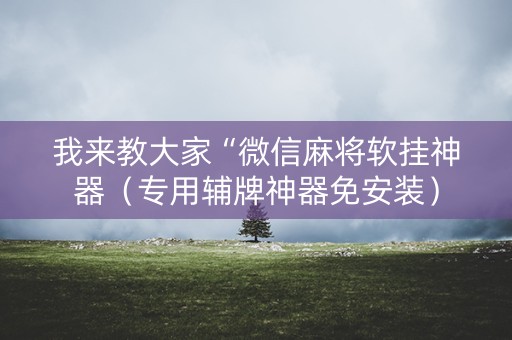 我来教大家“微信麻将软挂神器（专用辅牌神器免安装）