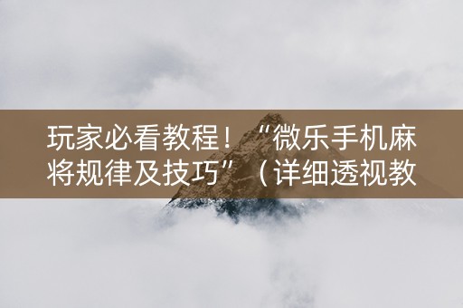 玩家必看教程！“微乐手机麻将规律及技巧”（详细透视教程）-哔哩哔哩