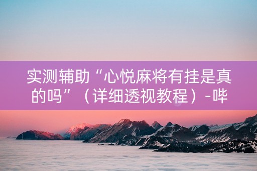 实测辅助“心悦麻将有挂是真的吗”（详细透视教程）-哔哩哔哩