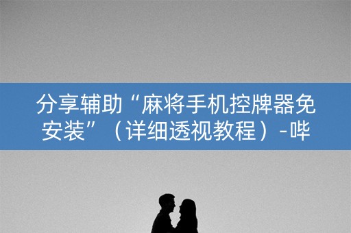 分享辅助“麻将手机控牌器免安装”（详细透视教程）-哔哩哔哩