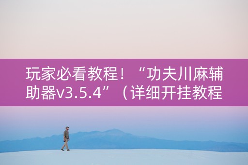 玩家必看教程！“功夫川麻辅助器v3.5.4”（详细开挂教程）-哔哩哔哩