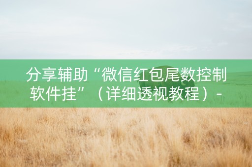 分享辅助“微信红包尾数控制软件挂”（详细透视教程）-哔哩哔哩