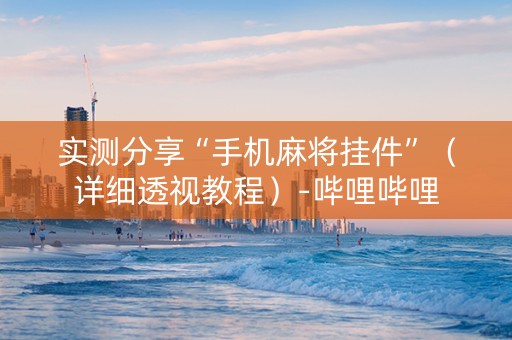 实测分享“手机麻将挂件”（详细透视教程）-哔哩哔哩