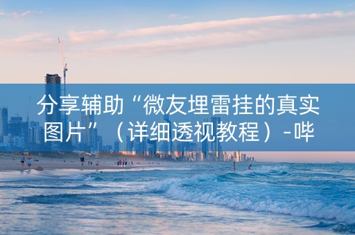 分享辅助“微友埋雷挂的真实图片”（详细透视教程）-哔哩哔哩