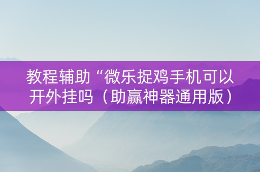 教程辅助“微乐捉鸡手机可以开外挂吗（助赢神器通用版）