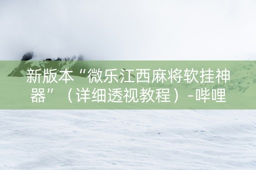 新版本“微乐江西麻将软挂神器”（详细透视教程）-哔哩哔哩