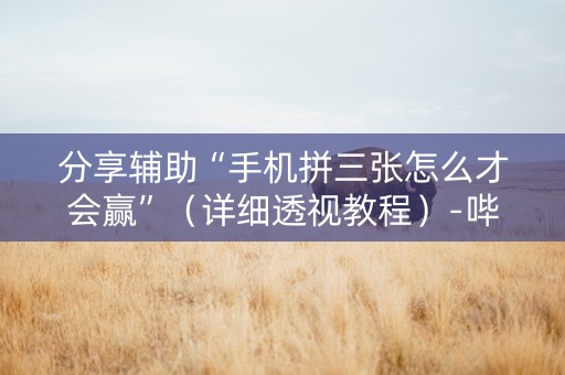 分享辅助“手机拼三张怎么才会赢”（详细透视教程）-哔哩哔哩