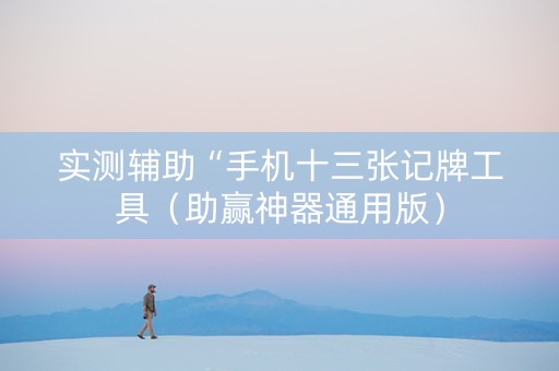 实测辅助“手机十三张记牌工具（助赢神器通用版）