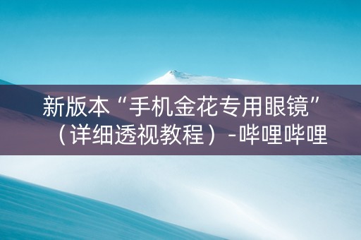 新版本“手机金花专用眼镜”（详细透视教程）-哔哩哔哩