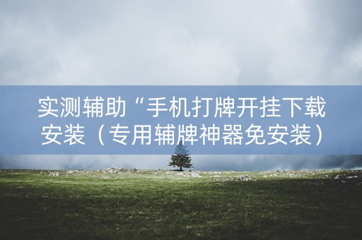 实测辅助“手机打牌开挂下载安装（专用辅牌神器免安装）