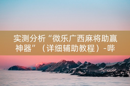 实测分析“微乐广西麻将助赢神器”（详细辅助教程）-哔哩哔哩