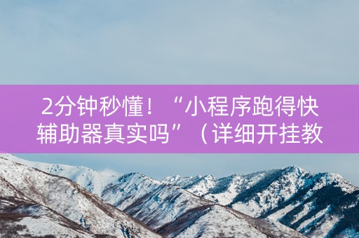 2分钟秒懂！“小程序跑得快辅助器真实吗”（详细开挂教程）-哔哩哔哩