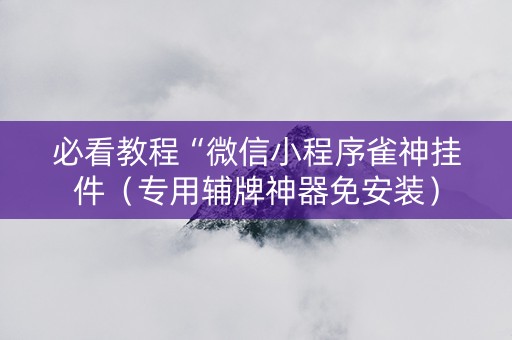 必看教程“微信小程序雀神挂件（专用辅牌神器免安装）