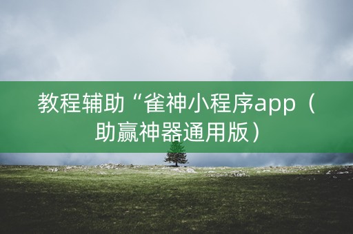 教程辅助“雀神小程序app（助赢神器通用版）