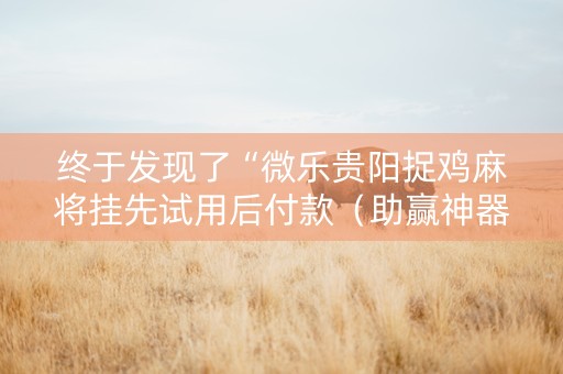 终于发现了“微乐贵阳捉鸡麻将挂先试用后付款（助赢神器通用版）