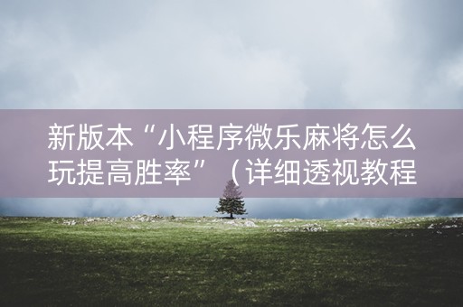 新版本“小程序微乐麻将怎么玩提高胜率”（详细透视教程）-哔哩哔哩