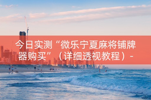 今日实测“微乐宁夏麻将铺牌器购买”（详细透视教程）-哔哩哔哩