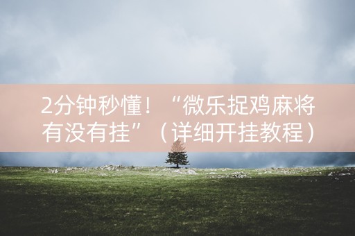 2分钟秒懂！“微乐捉鸡麻将有没有挂”（详细开挂教程）-哔哩哔哩