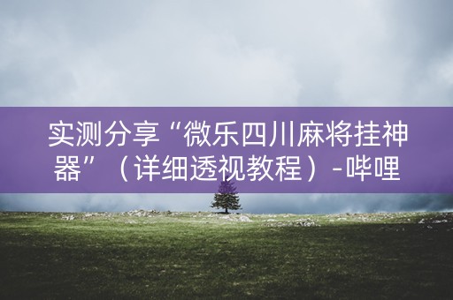 实测分享“微乐四川麻将挂神器”（详细透视教程）-哔哩哔哩