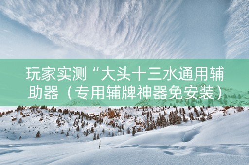 玩家实测“大头十三水通用辅助器（专用辅牌神器免安装）