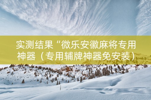 实测结果“微乐安徽麻将专用神器（专用辅牌神器免安装）