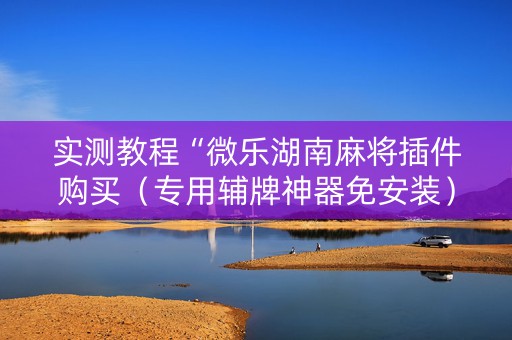 实测教程“微乐湖南麻将插件购买（专用辅牌神器免安装）