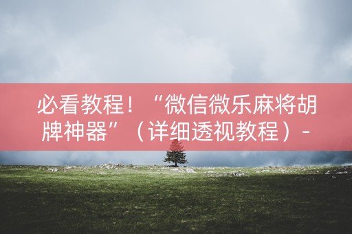 必看教程！“微信微乐麻将胡牌神器”（详细透视教程）-哔哩哔哩