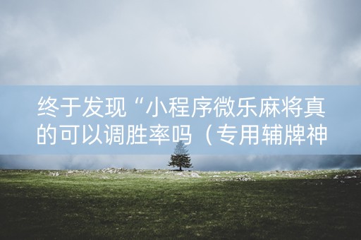 终于发现“小程序微乐麻将真的可以调胜率吗（专用辅牌神器免安装）