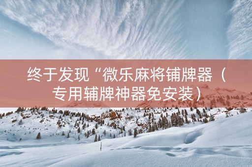 终于发现“微乐麻将铺牌器（专用辅牌神器免安装）