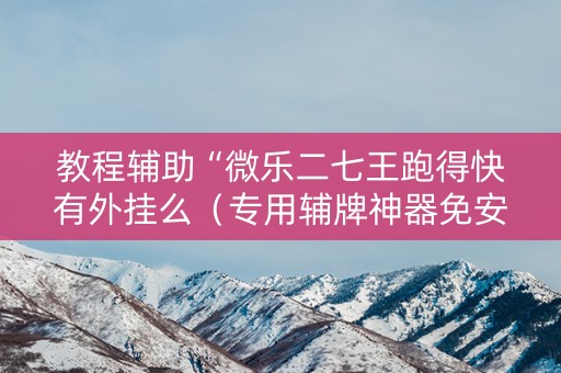 教程辅助“微乐二七王跑得快有外挂么（专用辅牌神器免安装）