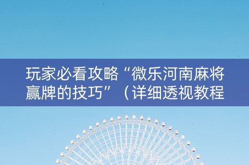 玩家必看攻略“微乐河南麻将赢牌的技巧”（详细透视教程）-哔哩哔哩