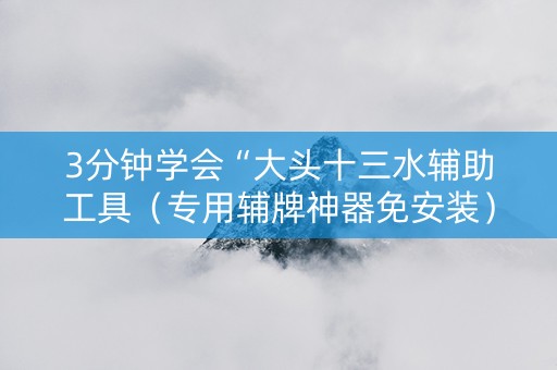 3分钟学会“大头十三水辅助工具（专用辅牌神器免安装）