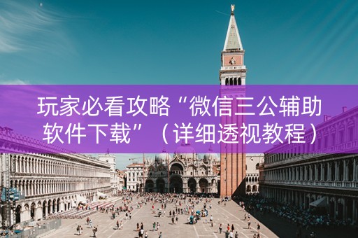 玩家必看攻略“微信三公辅助软件下载”（详细透视教程）-哔哩哔哩