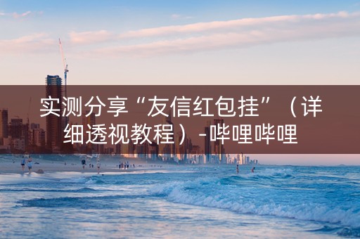 实测分享“友信红包挂”（详细透视教程）-哔哩哔哩
