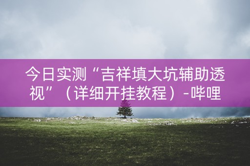 今日实测“吉祥填大坑辅助透视”（详细开挂教程）-哔哩哔哩