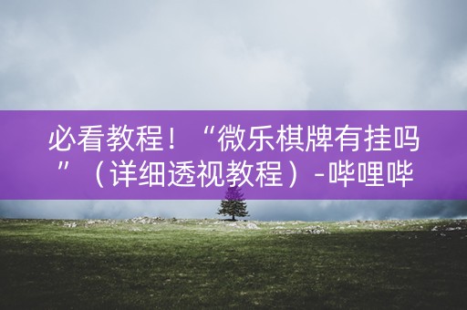 必看教程！“微乐棋牌有挂吗”（详细透视教程）-哔哩哔哩