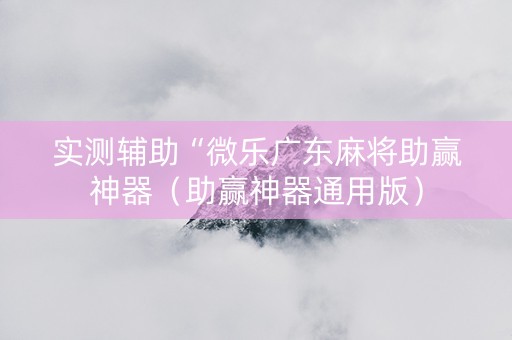 实测辅助“微乐广东麻将助赢神器（助赢神器通用版）