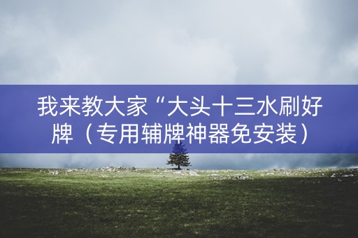 我来教大家“大头十三水刷好牌（专用辅牌神器免安装）
