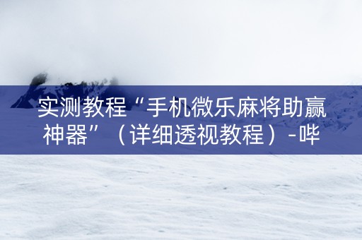 实测教程“手机微乐麻将助赢神器”（详细透视教程）-哔哩哔哩
