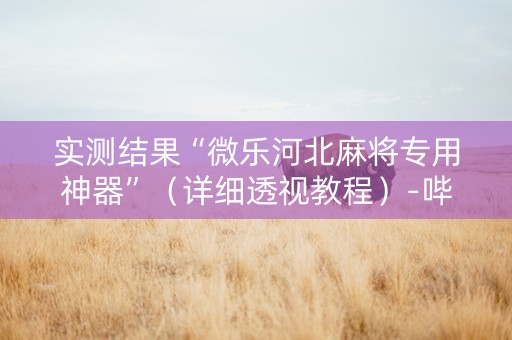 实测结果“微乐河北麻将专用神器”（详细透视教程）-哔哩哔哩