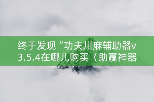 终于发现“功夫川麻辅助器v3.5.4在哪儿购买（助赢神器通用版）