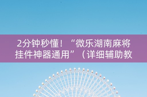 2分钟秒懂！“微乐湖南麻将挂件神器通用”（详细辅助教程）-哔哩哔哩