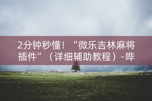 2分钟秒懂！“微乐吉林麻将插件”（详细辅助教程）-哔哩哔哩