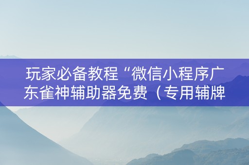 玩家必备教程“微信小程序广东雀神辅助器免费（专用辅牌神器免安装）