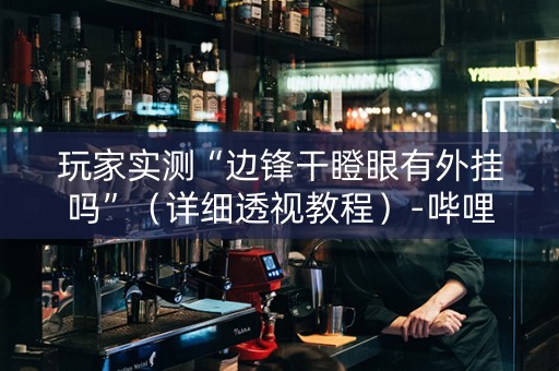 玩家实测“边锋干瞪眼有外挂吗”（详细透视教程）-哔哩哔哩