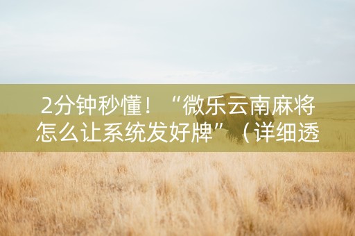 2分钟秒懂！“微乐云南麻将怎么让系统发好牌”（详细透视教程）-哔哩哔哩