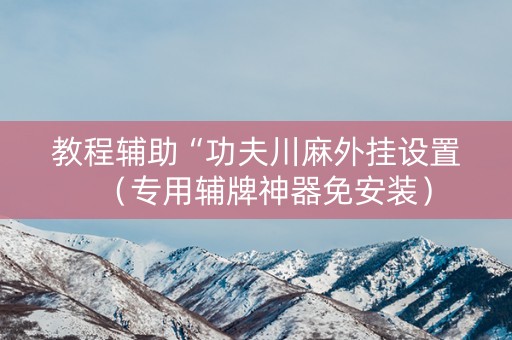 教程辅助“功夫川麻外挂设置（专用辅牌神器免安装）